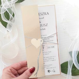 SREBRO-LUSTRZANE SREBRO OKŁADKA/ETUI DL